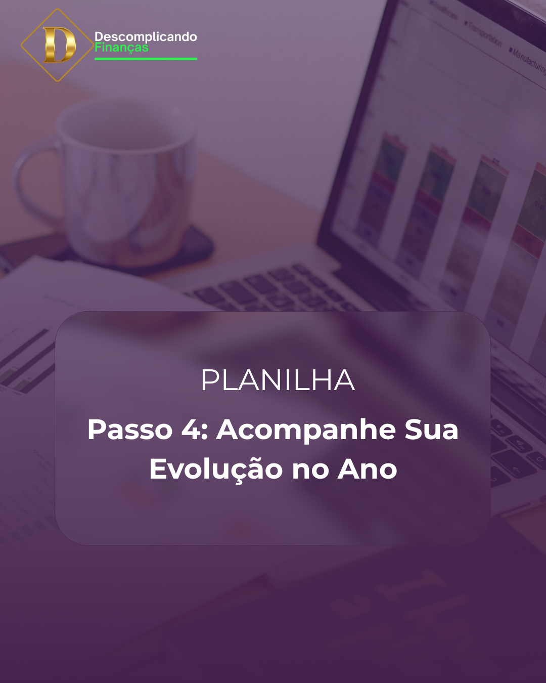 E-book Descomplicando Suas Finanças - Passo 4: - Acompanhe a sua evolução no ano.